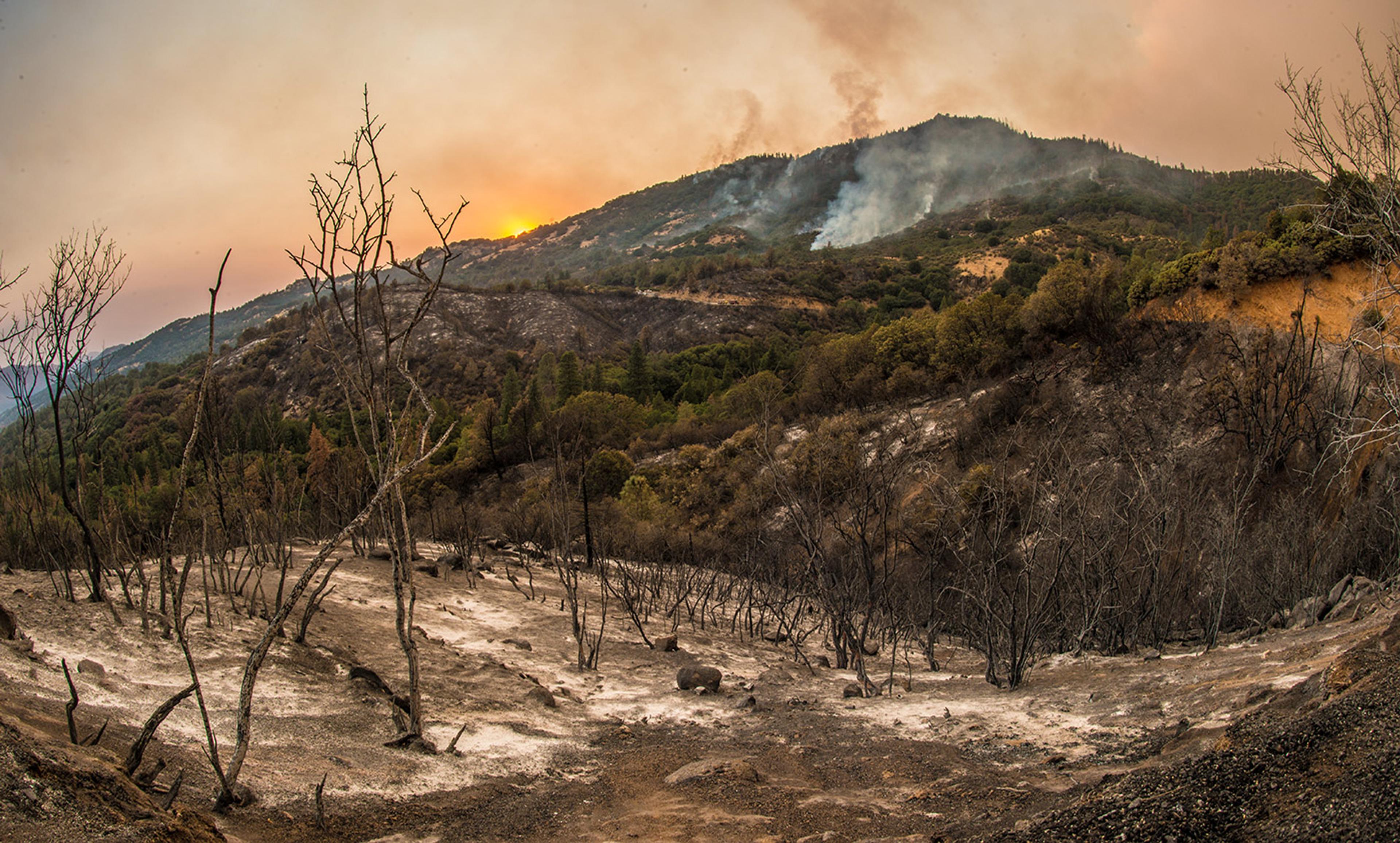 A burnt forest with charred trees, smouldering hills in the background and a hazy sky from a wildfire at sunset.