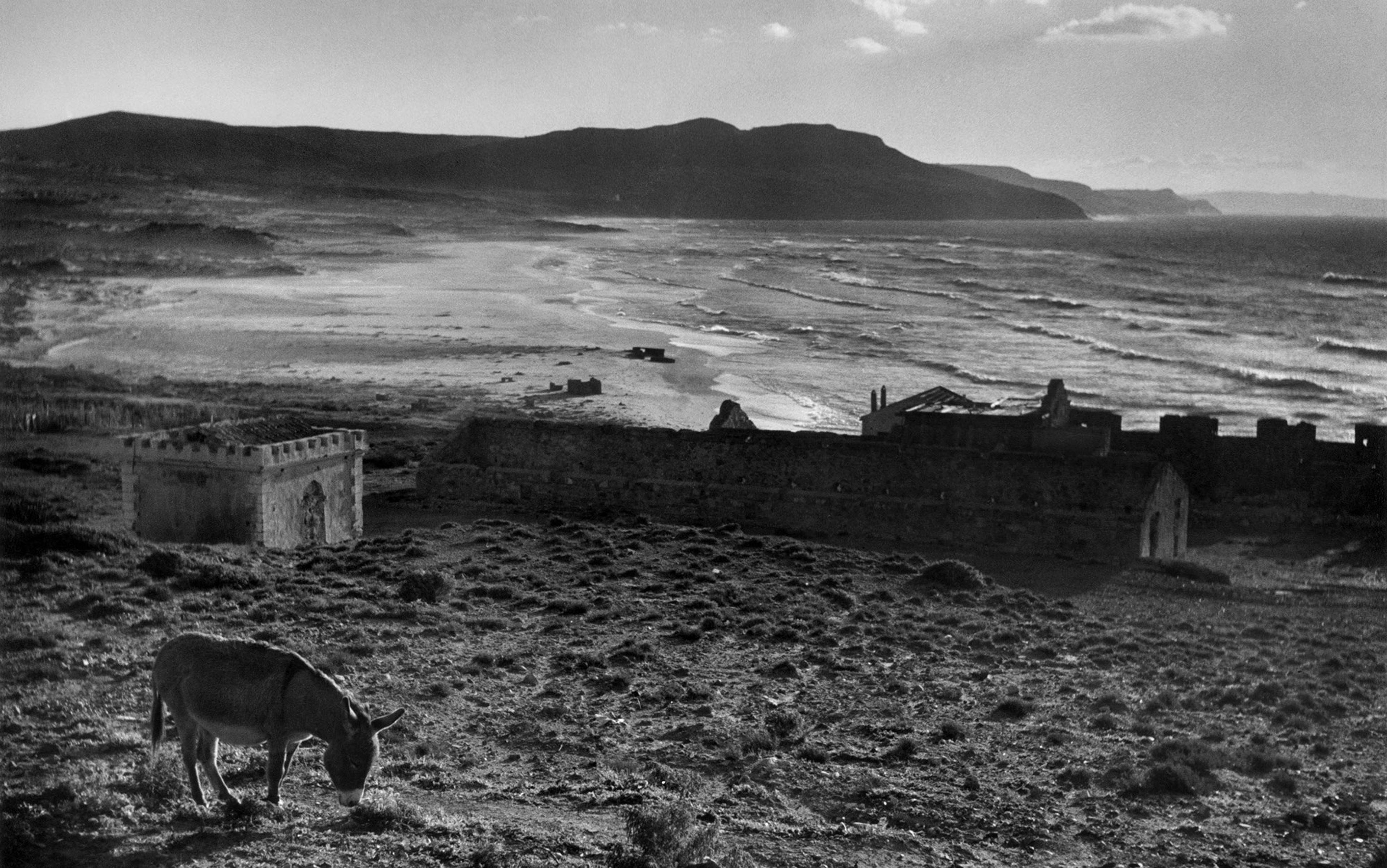 A black-and-white photograph of a donkey grazing near old stone by a beach, with mountains in the distance.