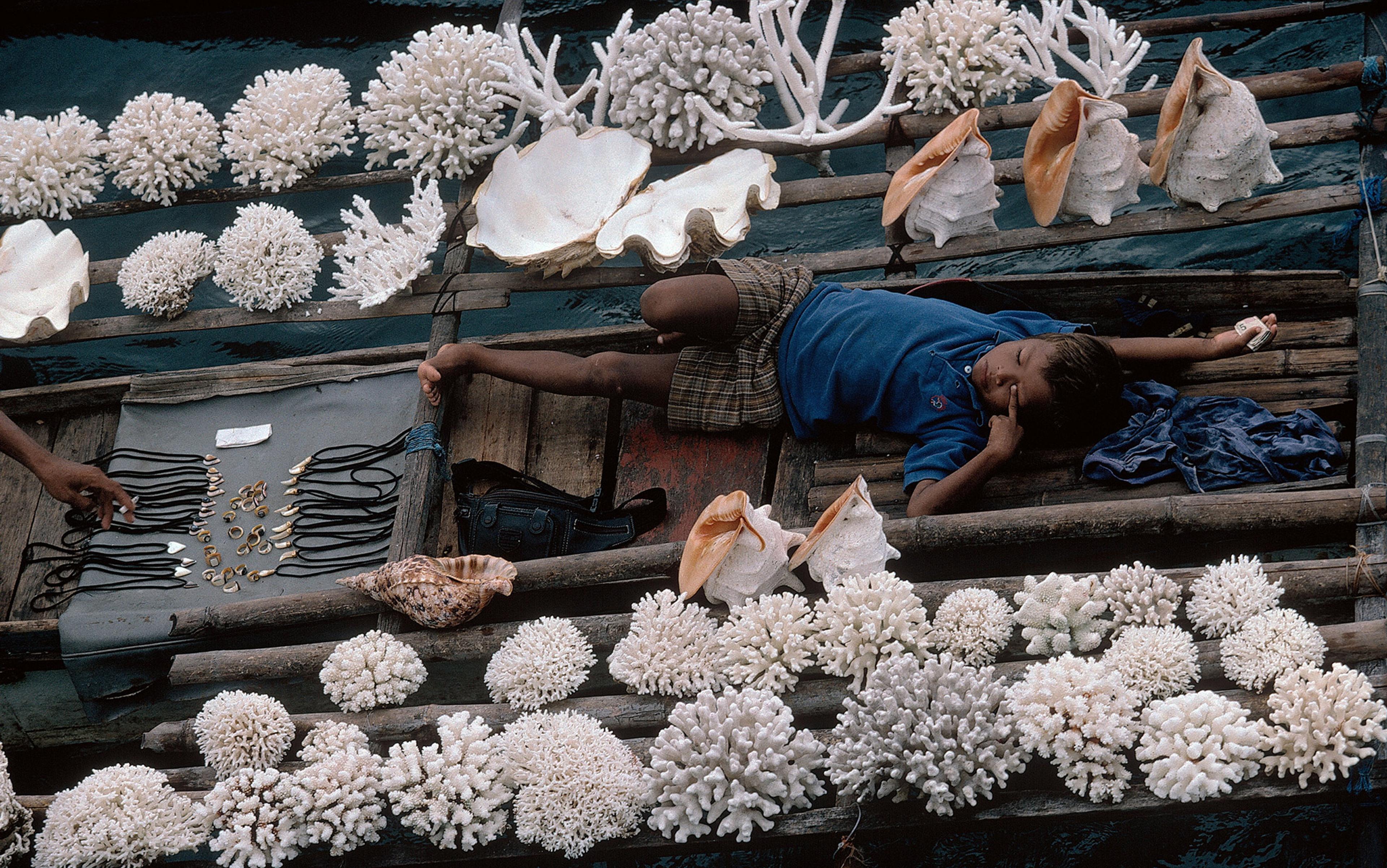 A child lying on a boat surrounded by corals, large shells, and handmade jewellery, with blue water in the background.
