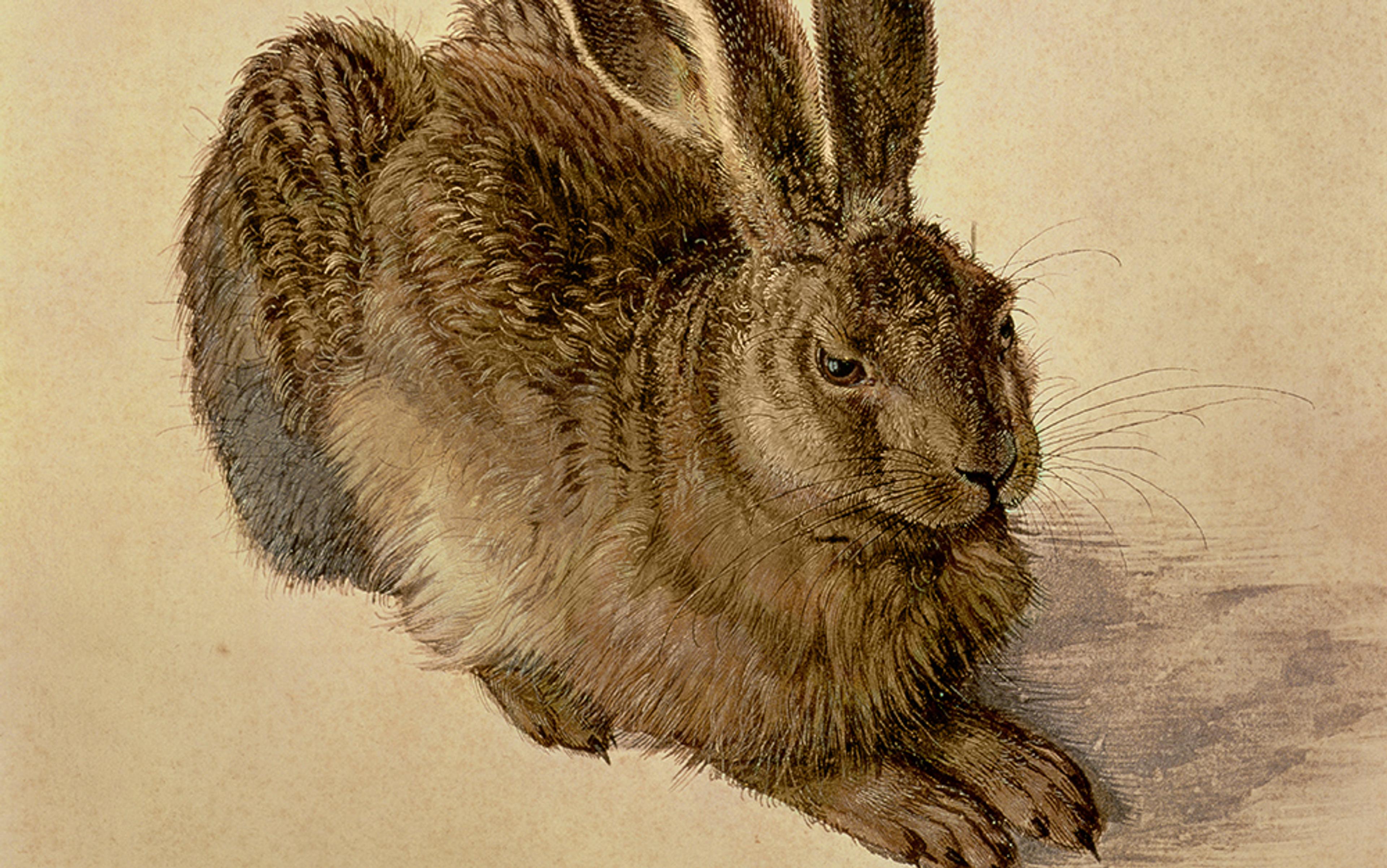 Painting of a detailed hare with textured fur, long ears, and alert eyes, set against a light beige background.
