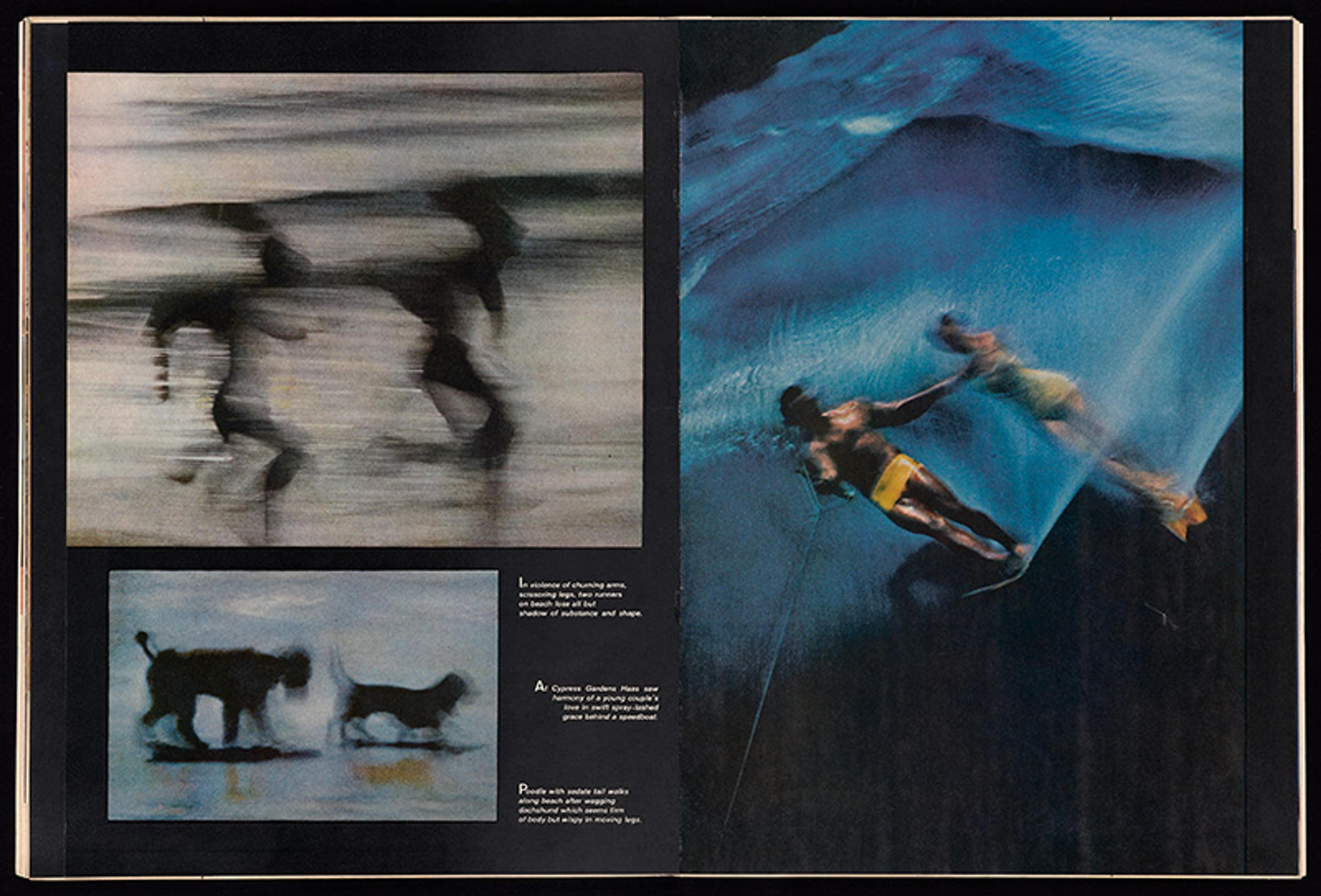 Blurred montage of two abstract figures running, two dogs, and two people swimming underwater, featuring blue and black tones.